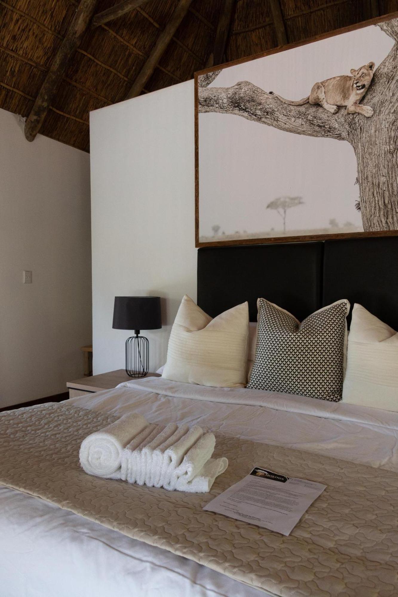 Rust de Winter Mologa River Lodge מראה חיצוני תמונה