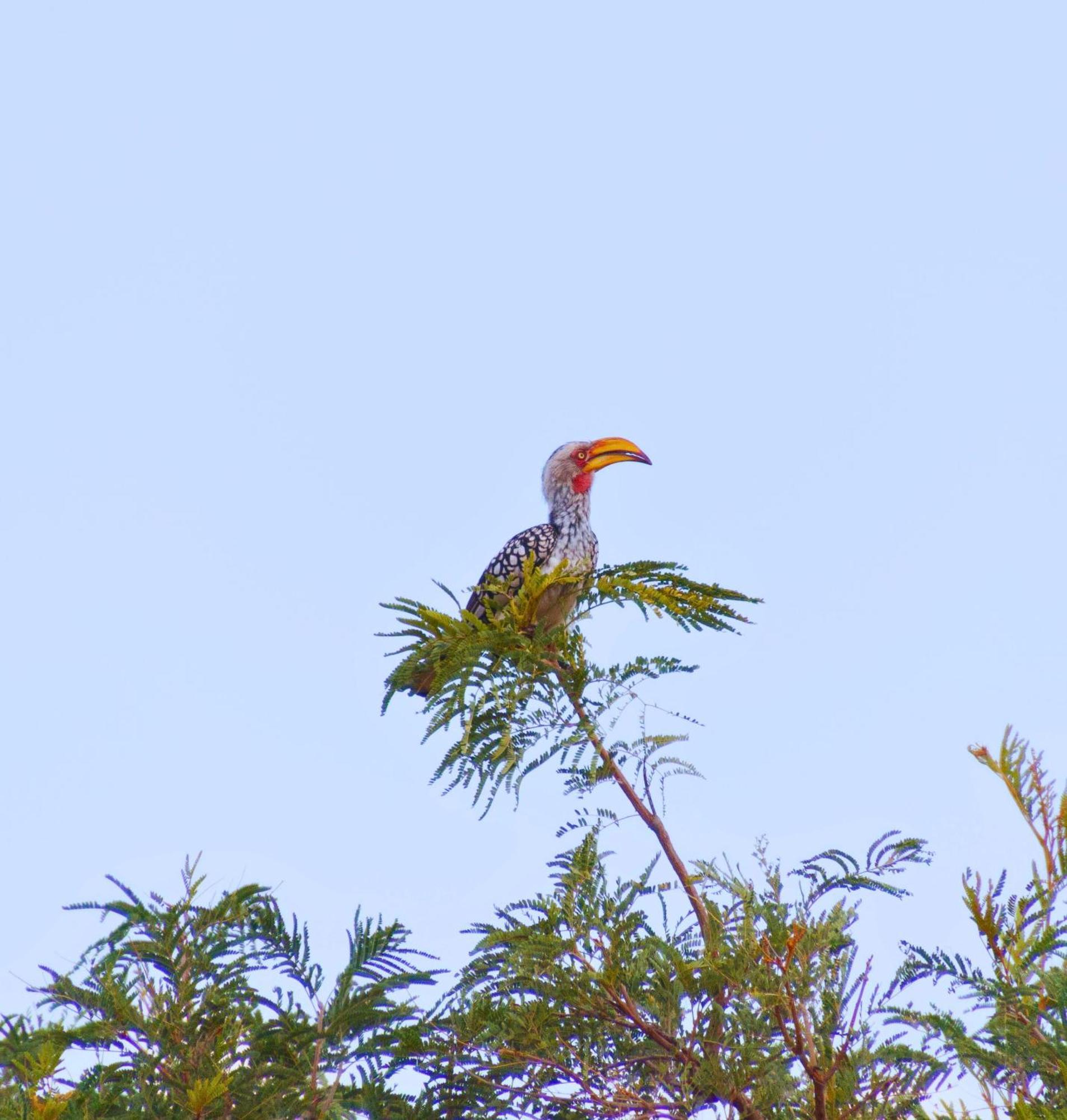 Rust de Winter Mologa River Lodge מראה חיצוני תמונה