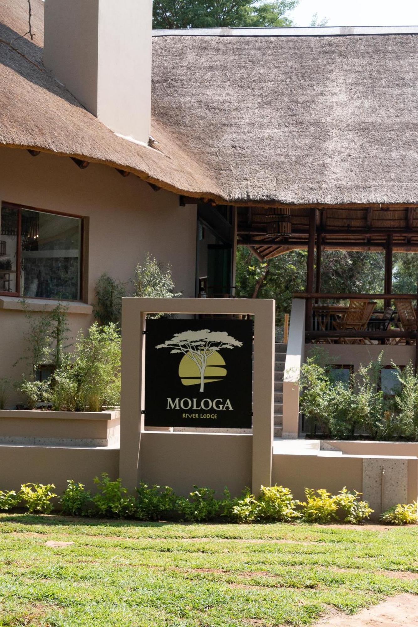 Rust de Winter Mologa River Lodge מראה חיצוני תמונה